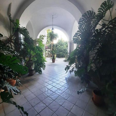 Hotel La Casa Delle Camelie Meta Zewnętrze zdjęcie