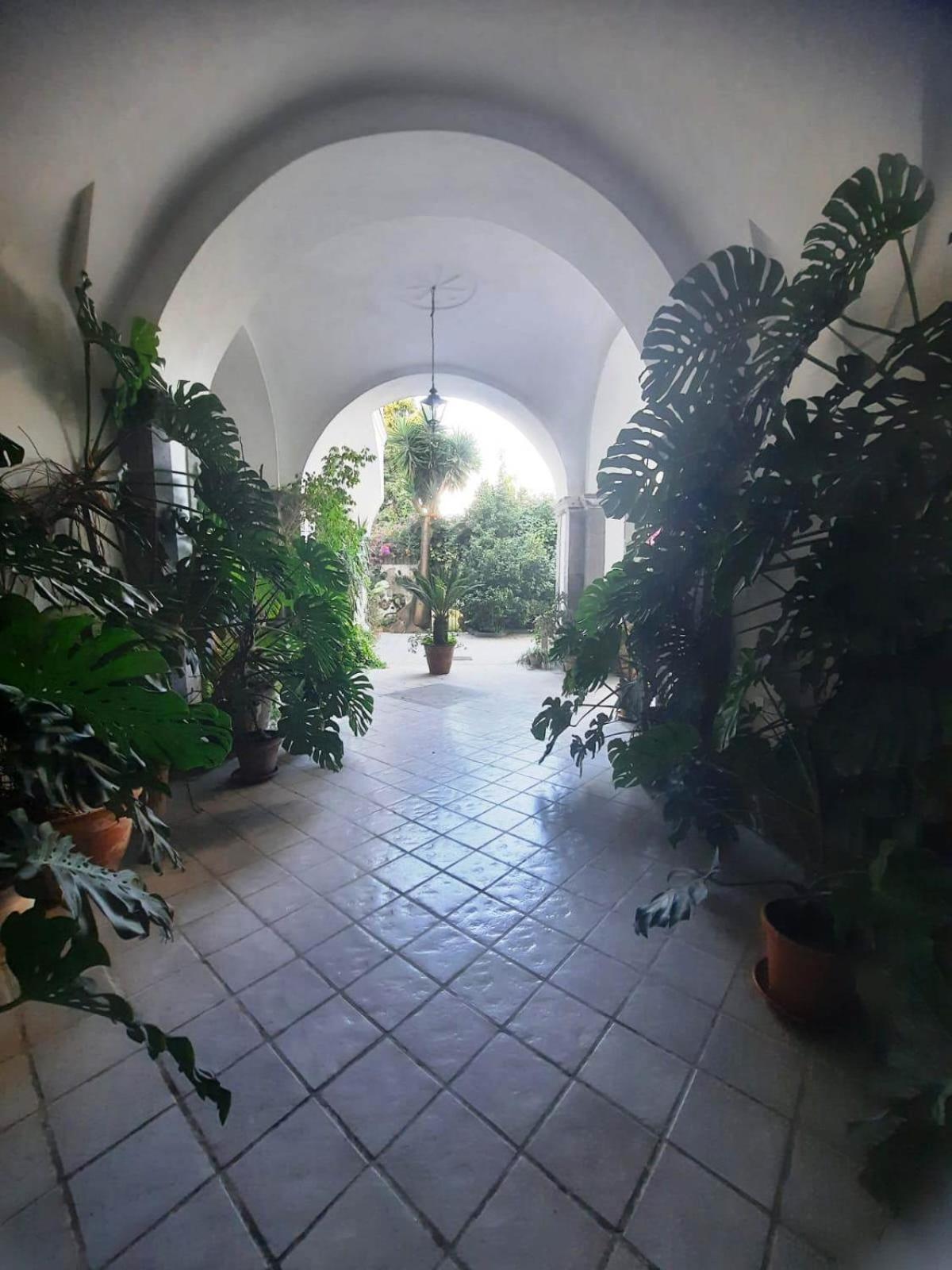 Hotel La Casa Delle Camelie Meta Zewnętrze zdjęcie